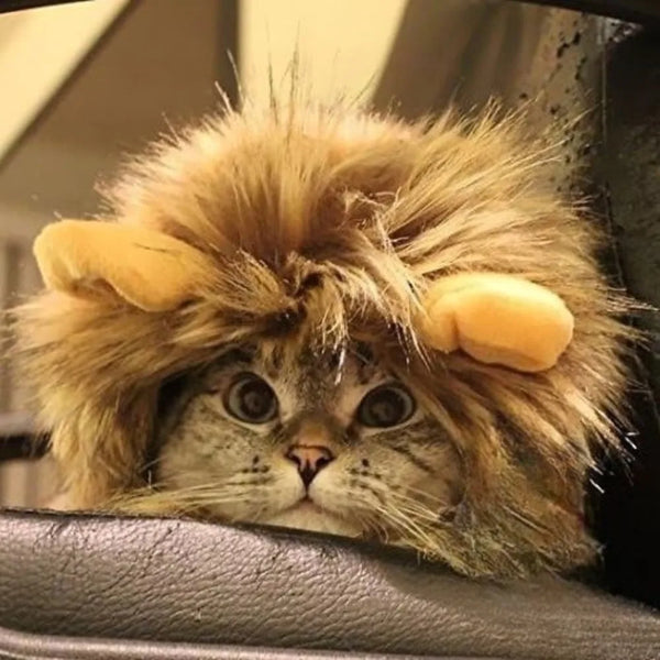 Washable Lion Mane Pet Wig - Dog and Cat Costume