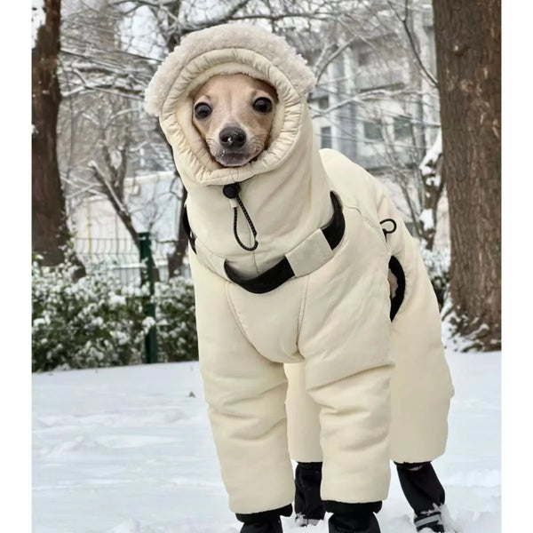 Thickened Winter Dog Jacket - Full Neck Coverage