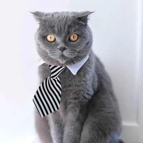 Adjustable Pet Bow Tie Necktie for Dogs and Cats