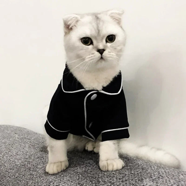 Christmas Cat Hoodie Suit - Winter Sphynx Sweatshirt