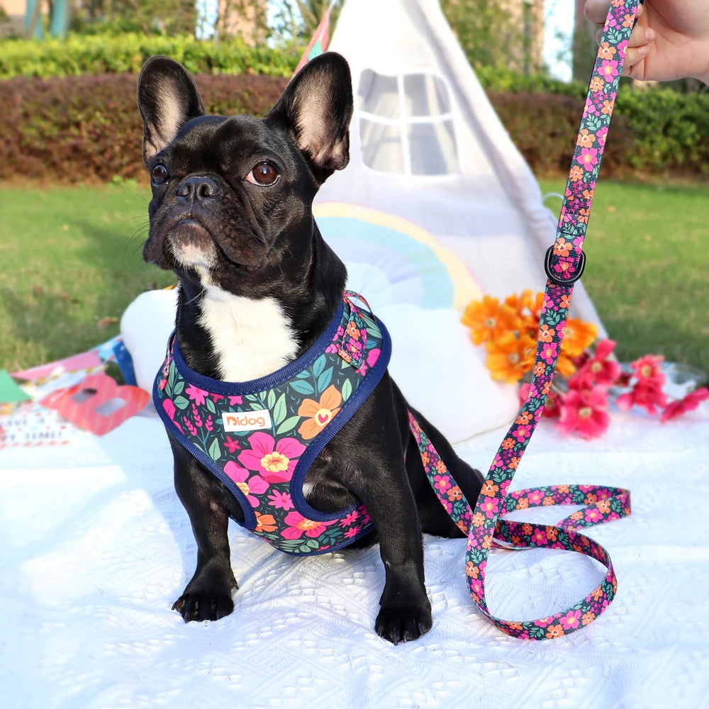 Adjustable Nylon Mesh Dog Harness and Leash Set - Printed Vest