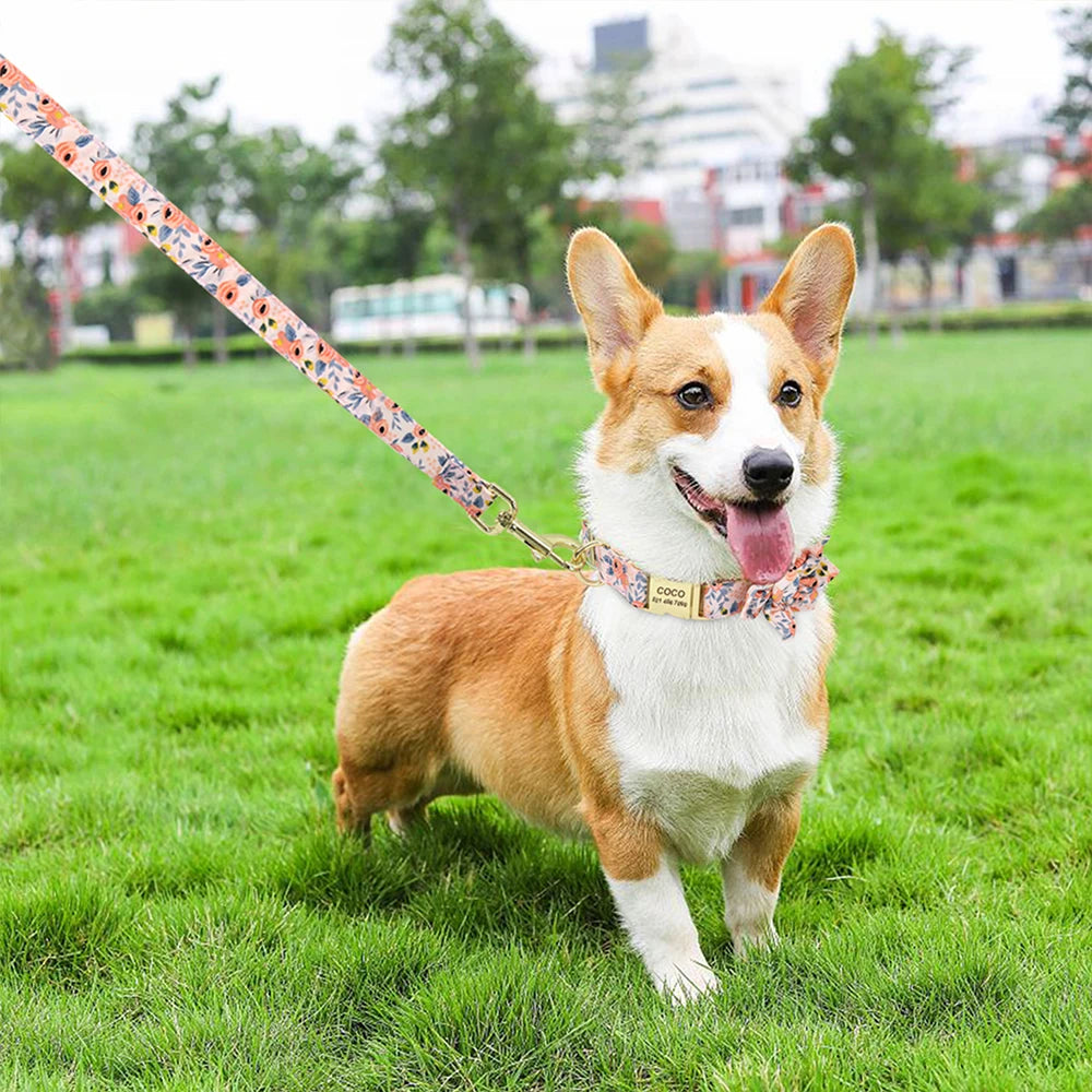 Pet Accessories