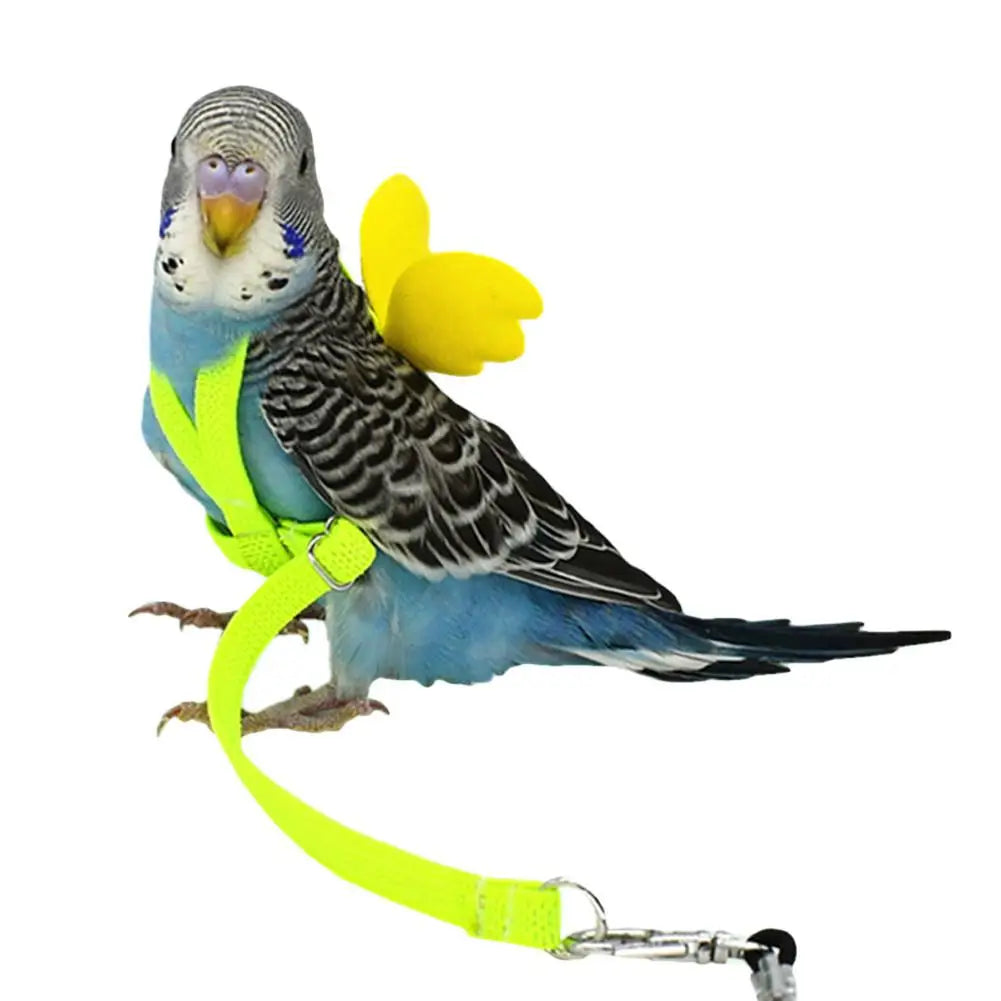 Adjustable Parrot Harness and Outdoor Flying Leash Set