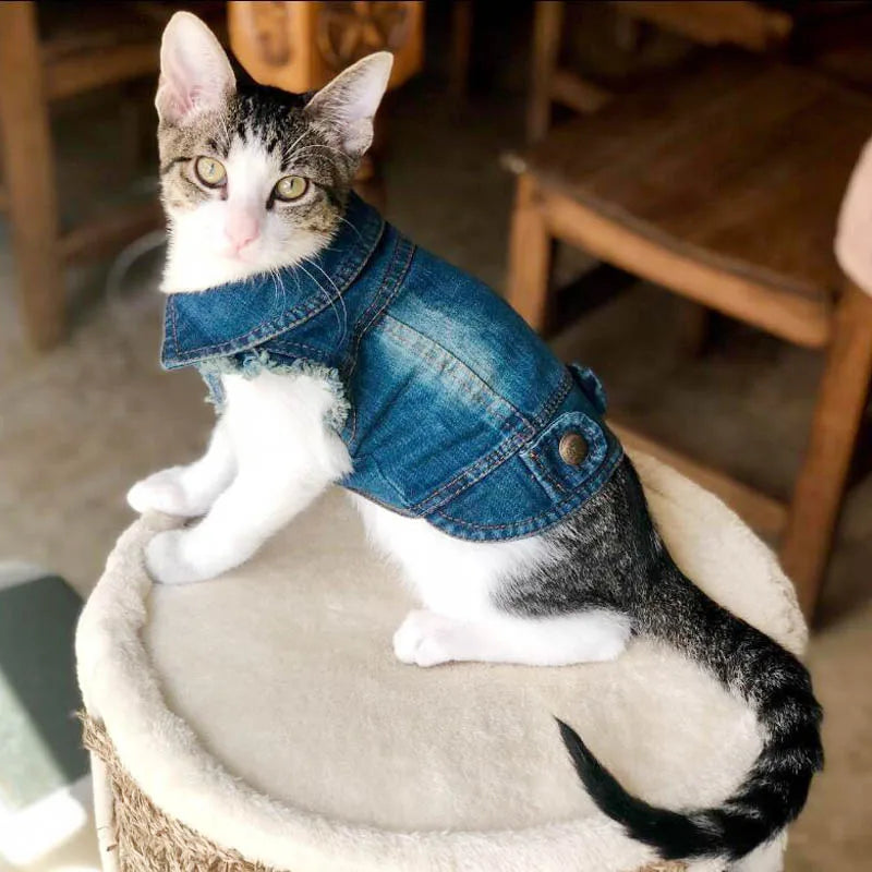 Casual Cat Denim Vest Jacket - Spring and Autumn Outfit