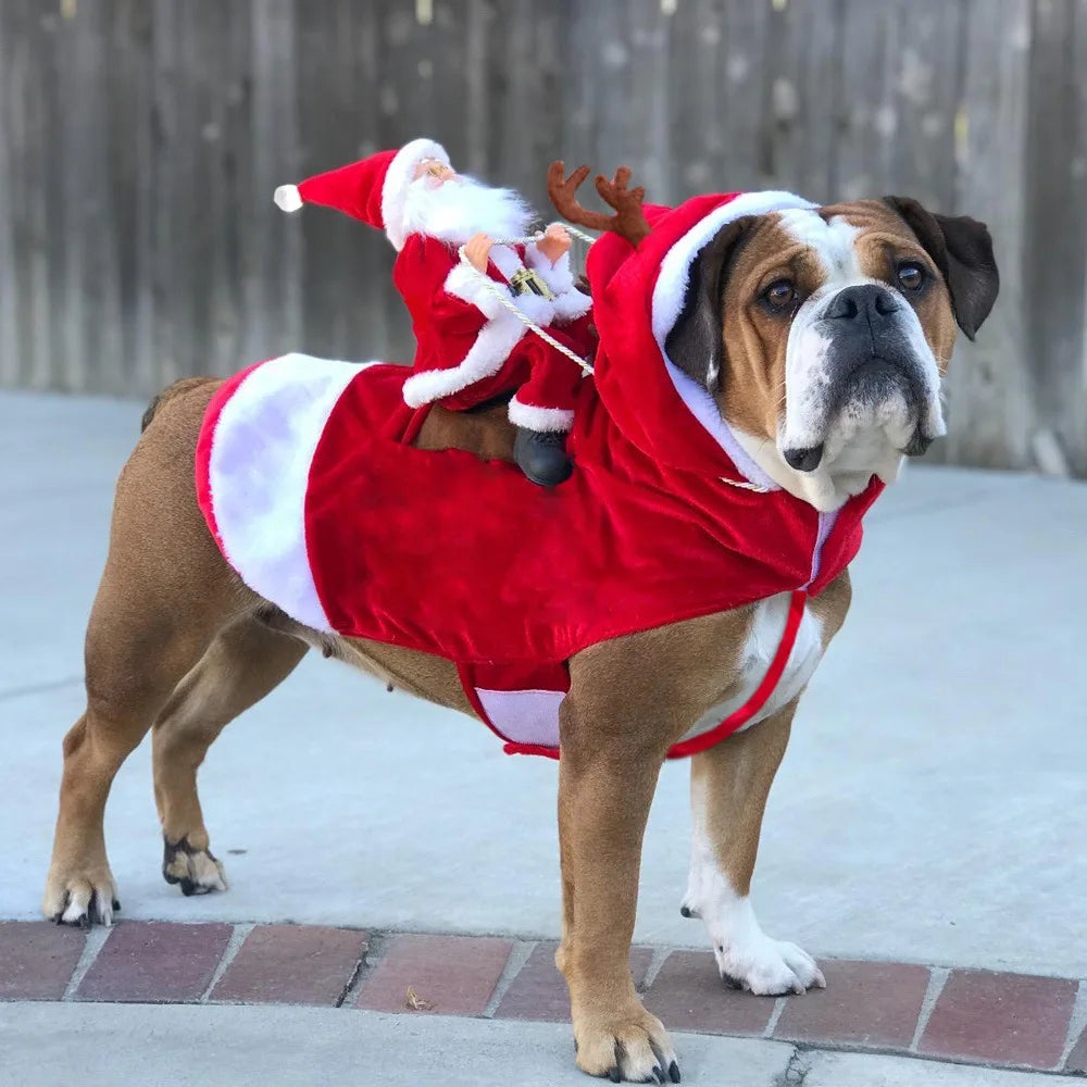 Funny Santa Pet Costume - Christmas and New Year Outfit