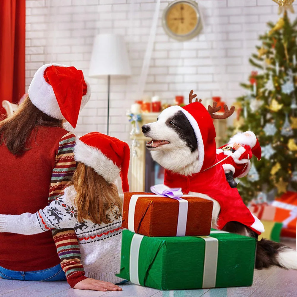 Funny Santa Pet Costume - Christmas and New Year Outfit