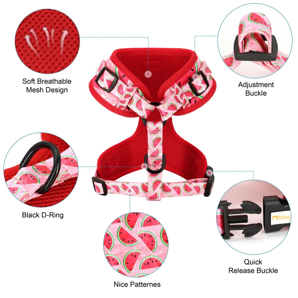 Adjustable Nylon Mesh Dog Harness and Leash Set - Printed Vest