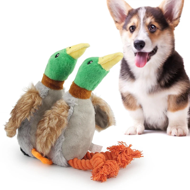 Plush Duck Squeaky Dog Toy with Chew Rope