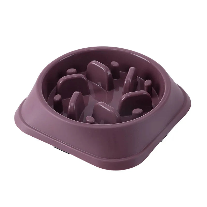 Anti-Choking Slow Feeder Bowl - Non-Slip Pet Dish