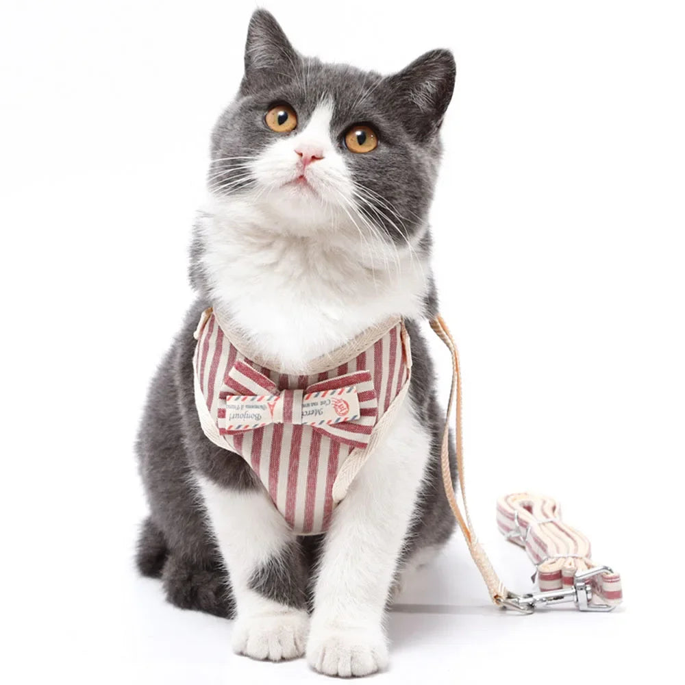 Breathable Nylon Cat Harness and Leash Set with Bow Detail