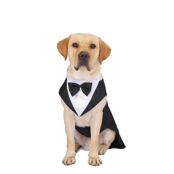 Formal Dog Tuxedo Shirt with Bow Tie - Party Suit