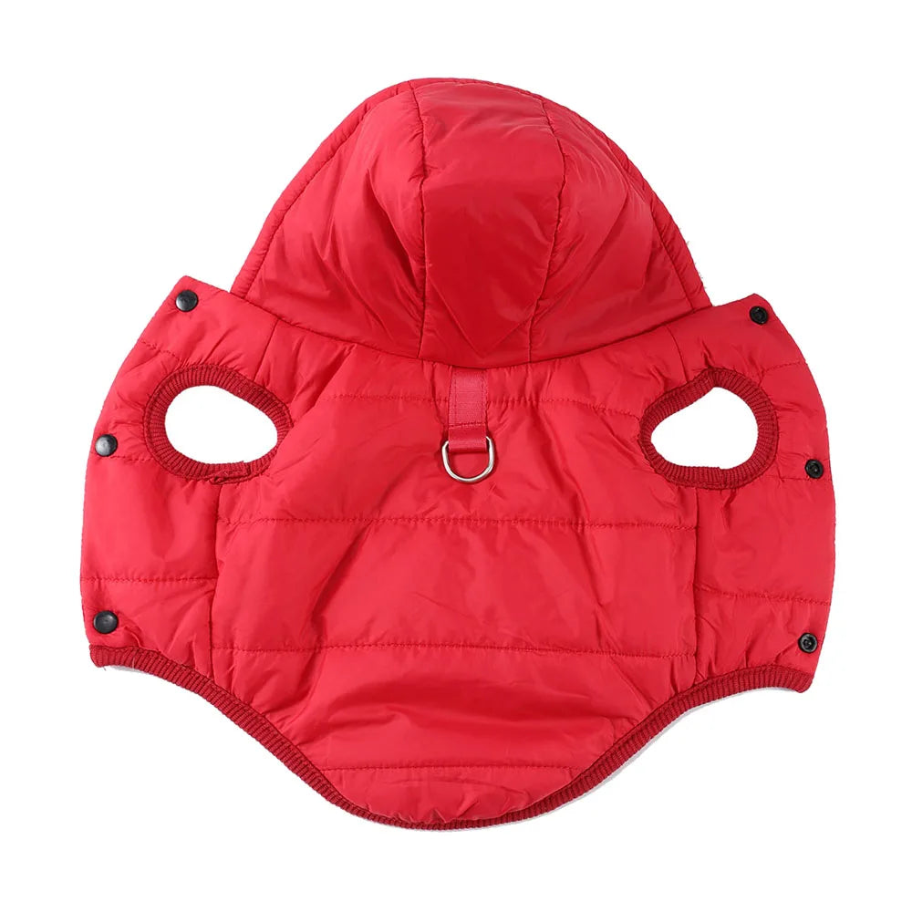 Cozy Fleece Cat Hoodie Coat - Windproof Winter Jacket