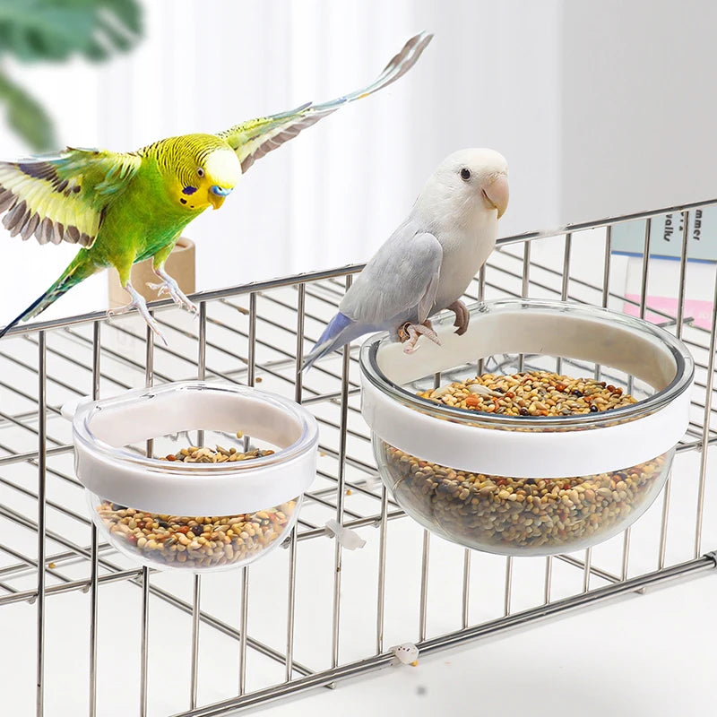 Transparent Hanging Bird Seed and Water Feeder Cup