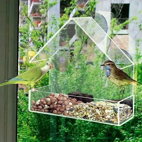 White Acrylic Outdoor Window Bird Feeder with Suction Cups
