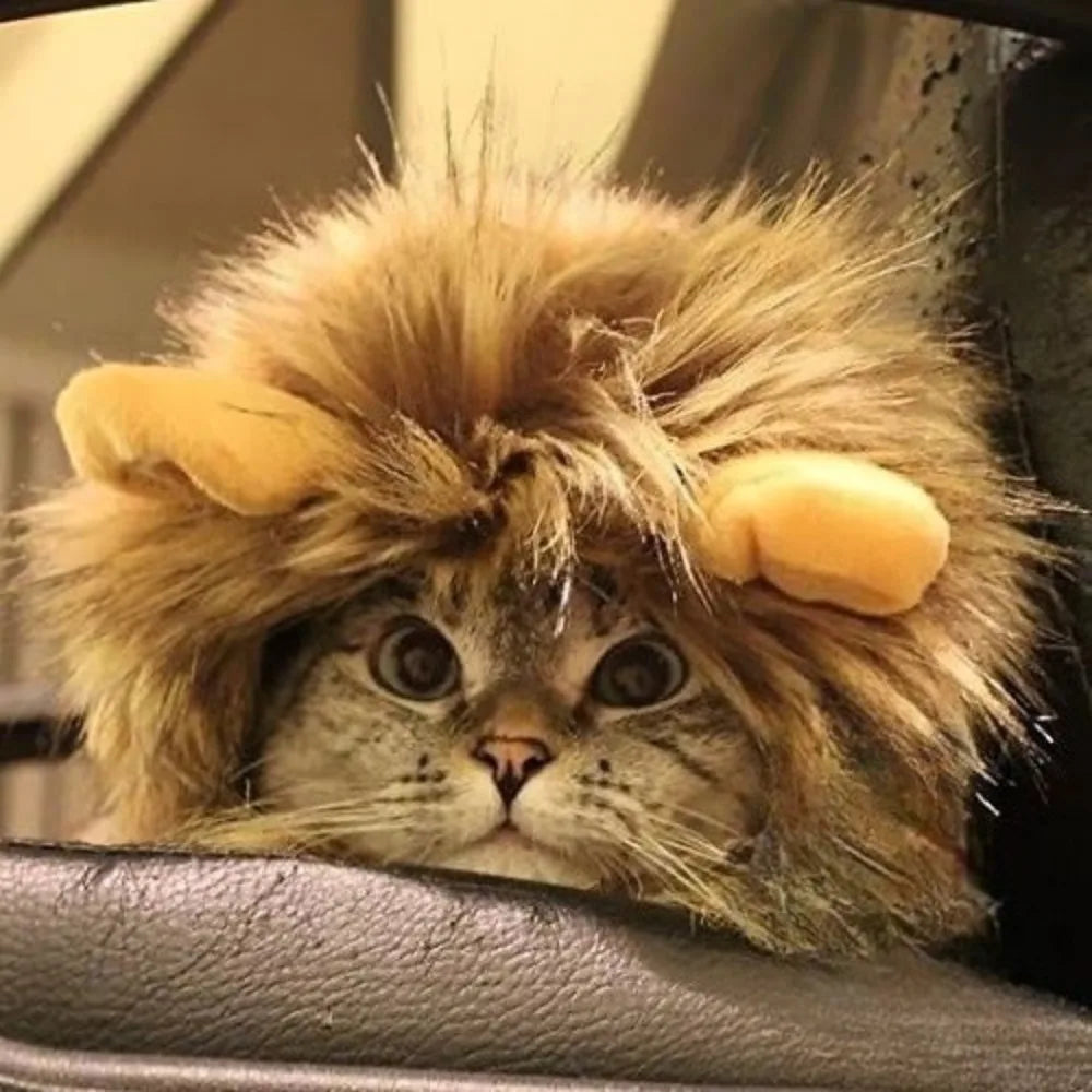 Washable Lion Mane Pet Wig - Dog and Cat Costume