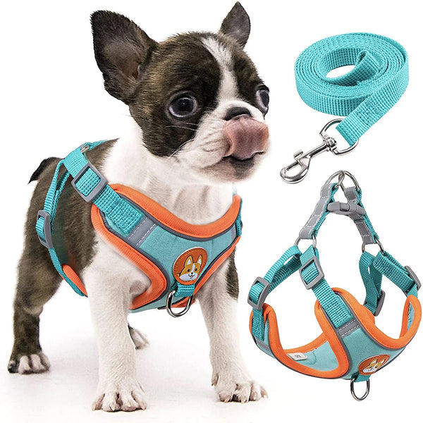 Step-In Reflective Dog Harness and Leash Set - Soft Vest