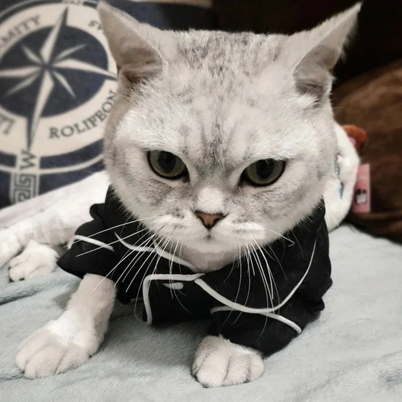 Christmas Cat Hoodie Suit - Winter Sphynx Sweatshirt