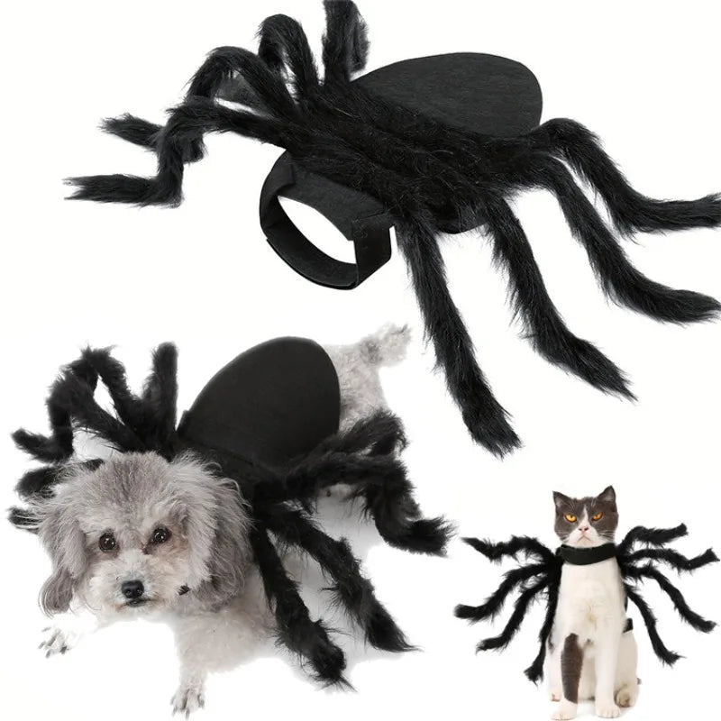 NONOR Spider Pet Costume - Funny Halloween Party Outfit