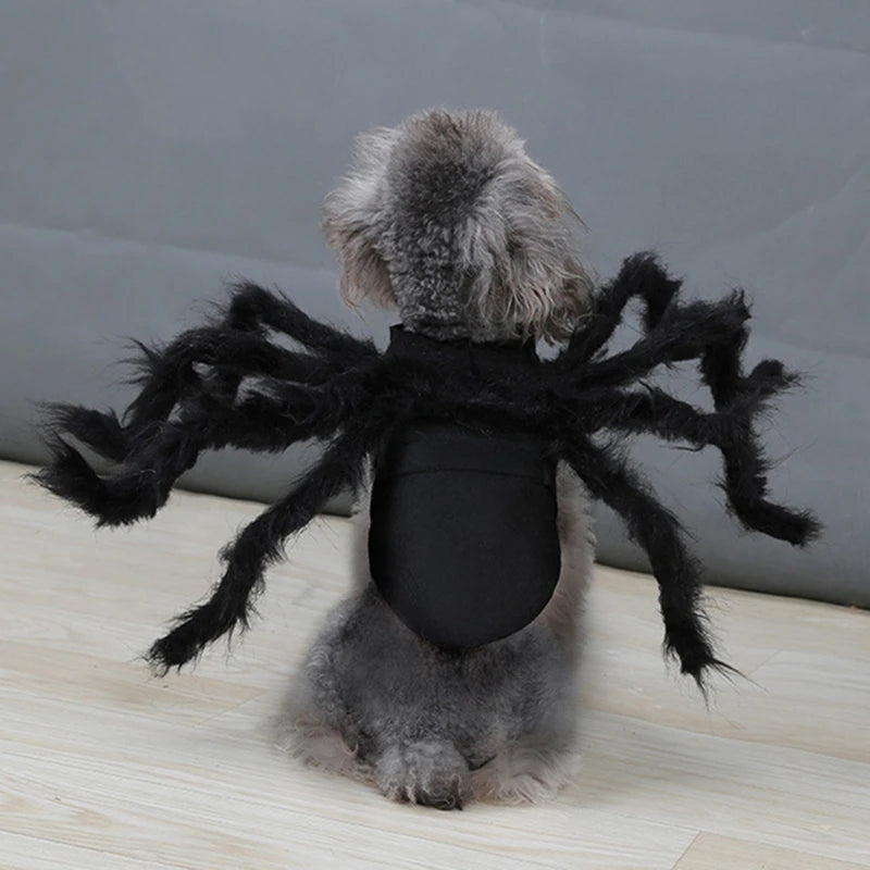 NONOR Spider Pet Costume - Funny Halloween Party Outfit