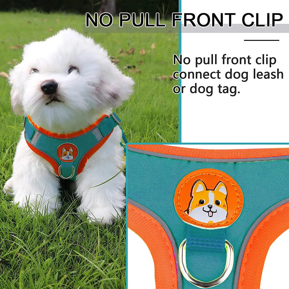 Step-In Reflective Dog Harness and Leash Set - Soft Vest
