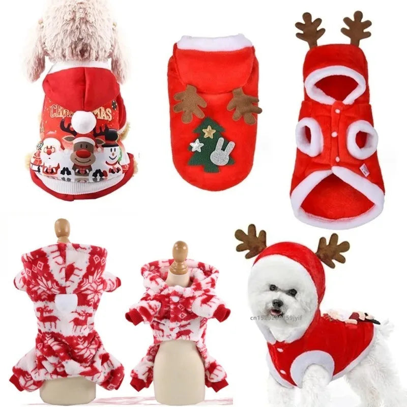 Santa Dog Costume Jacket - Christmas Pet Outfit
