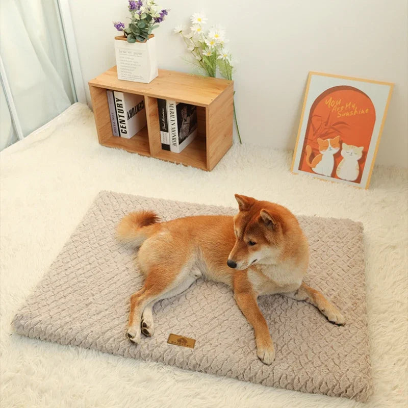 Memory Foam Orthopedic Dog Bed - Washable Faux Fur Cover
