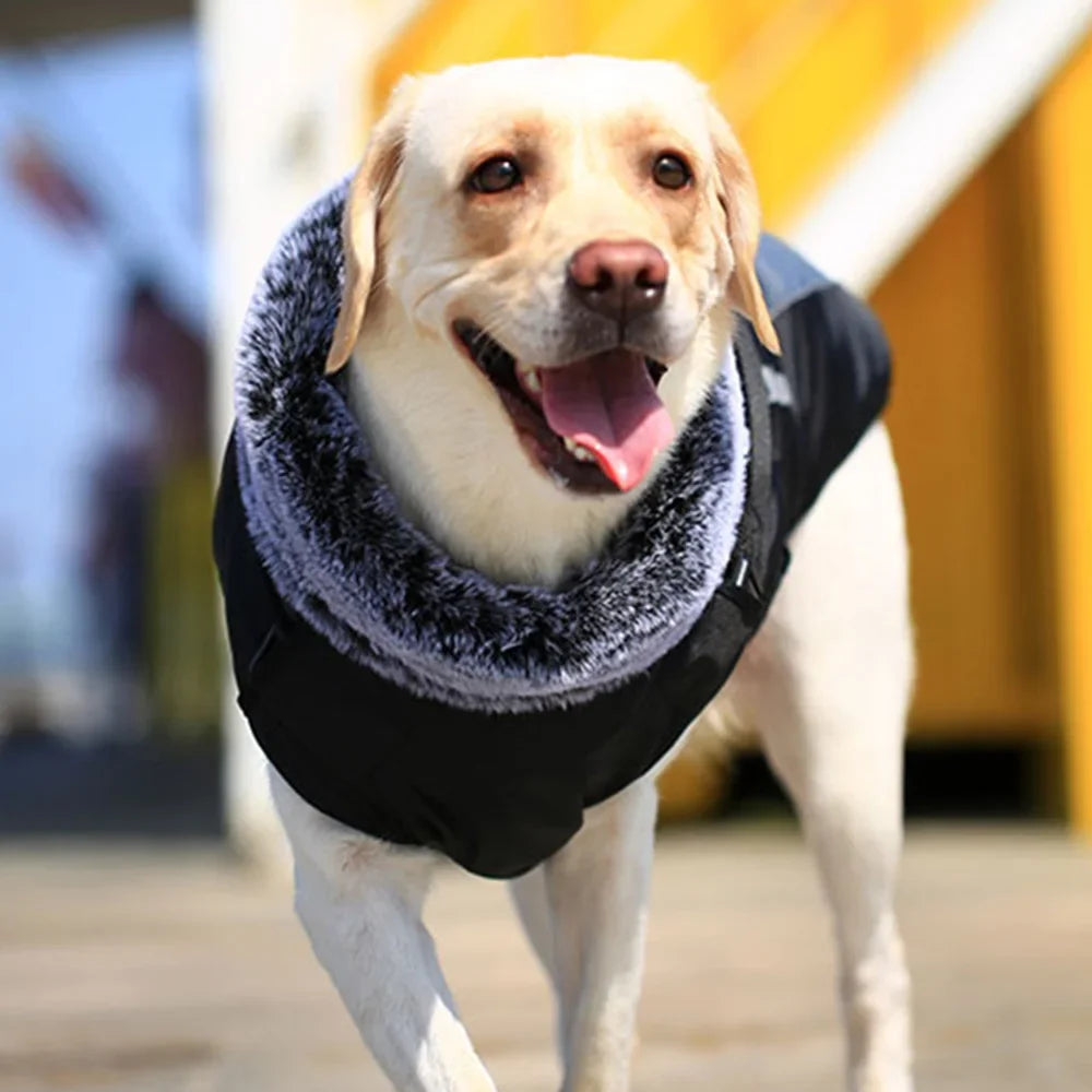 Fur Collar Big Dog Winter Coat - XL-6XL Jacket
