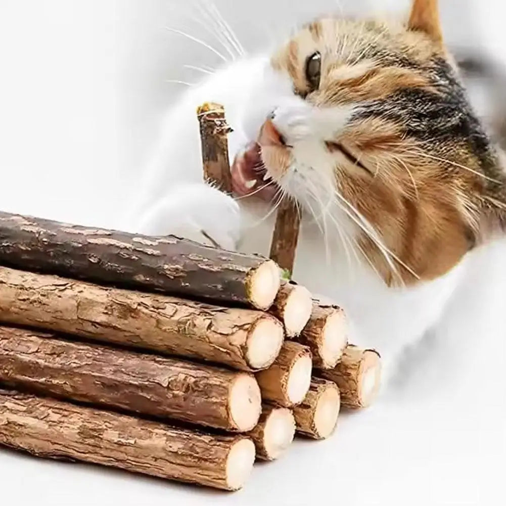 Natural Catnip Chew Sticks for Teeth Cleaning and Play