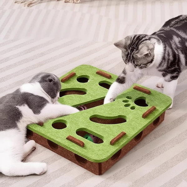 Felt Cat Puzzle Box Toy for Hunting and Exercise