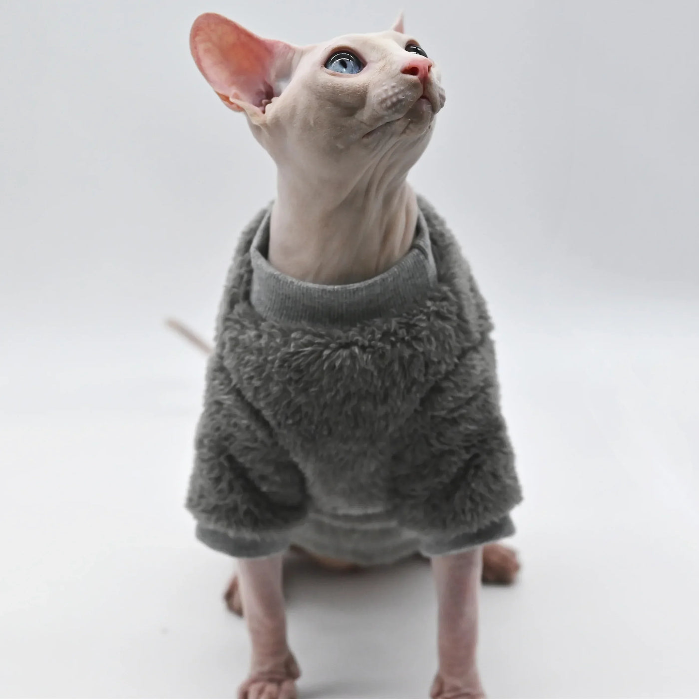 DUOMASUMI Double-Sided Fluffy Sphynx Cat Winter Jacket