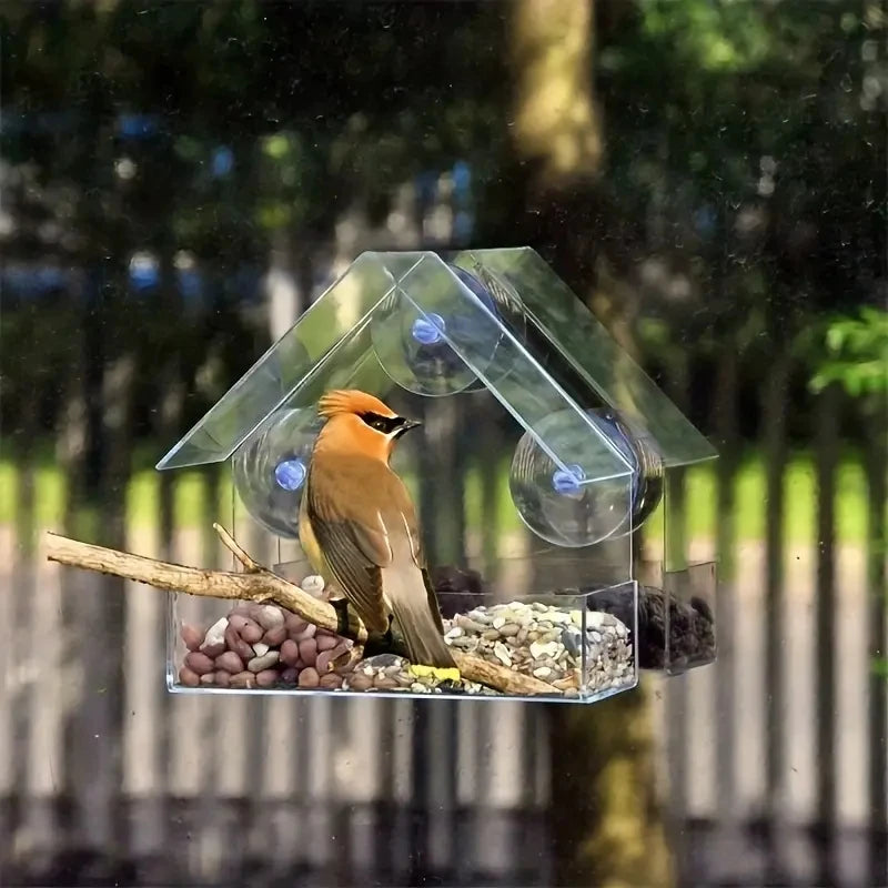 White Acrylic Outdoor Window Bird Feeder with Suction Cups