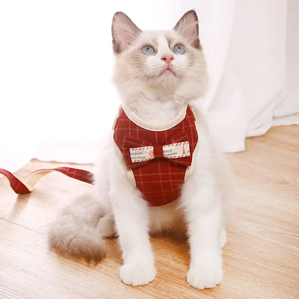 Breathable Nylon Cat Harness and Leash Set with Bow Detail