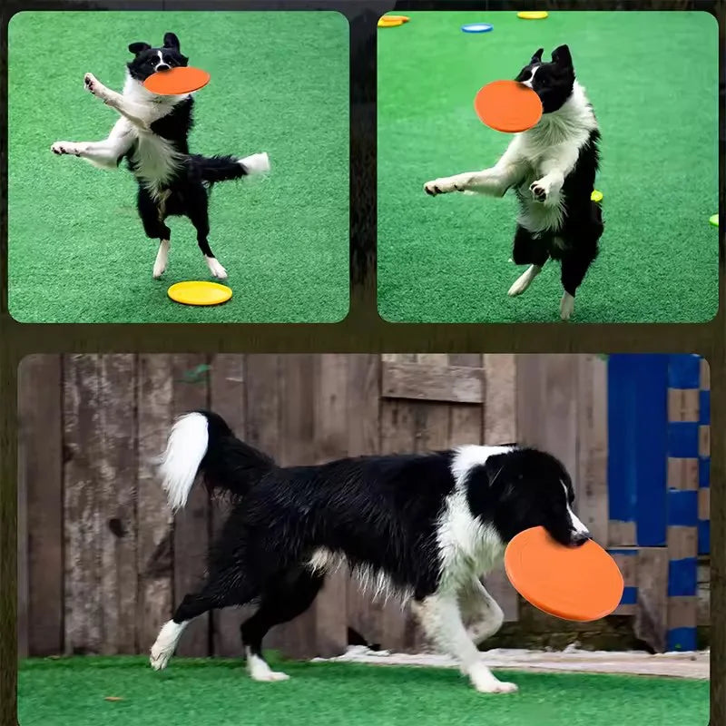Chewable Rubber Dog Frisbee - Tear-Resistant Fetch Disc