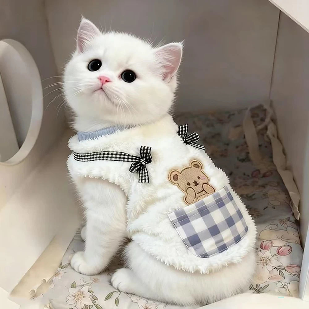 Cat Outfits