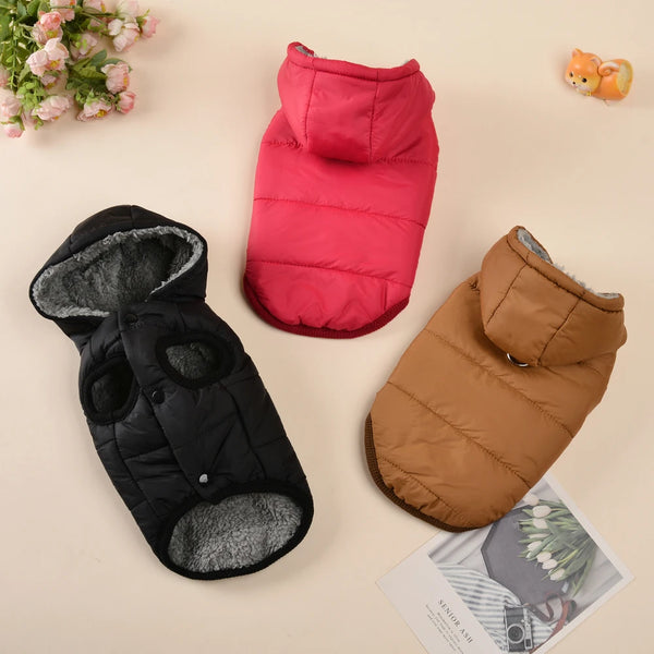 Cozy Fleece Cat Hoodie Coat - Windproof Winter Jacket