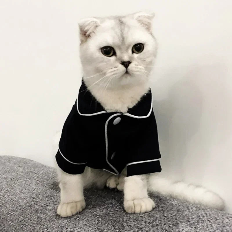 Christmas Cat Hoodie Suit - Winter Sphynx Sweatshirt