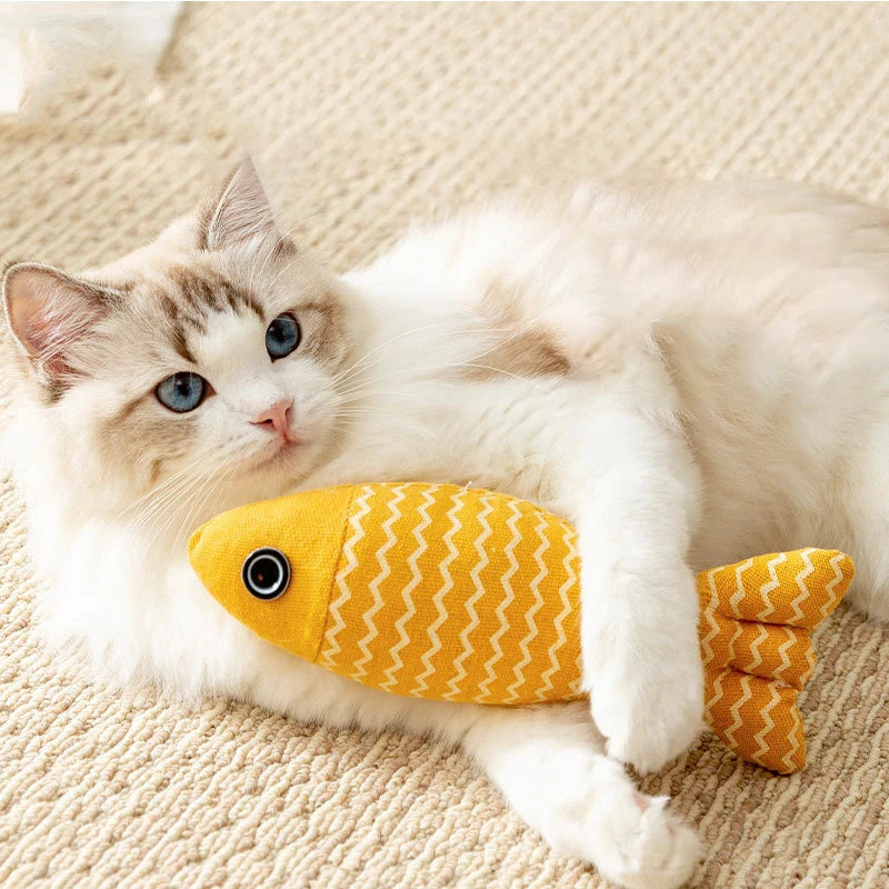 Cat Accessories