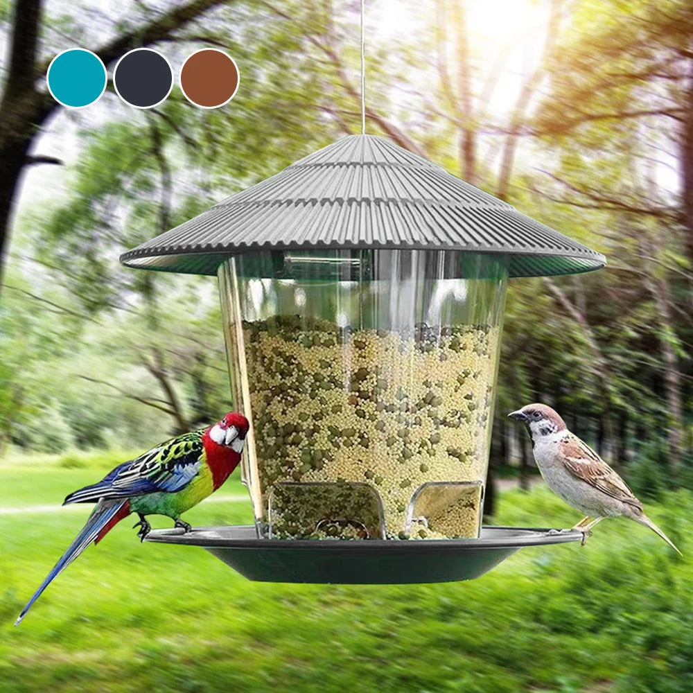 Hanging Outdoor Bird Seed and Peanut Feeder