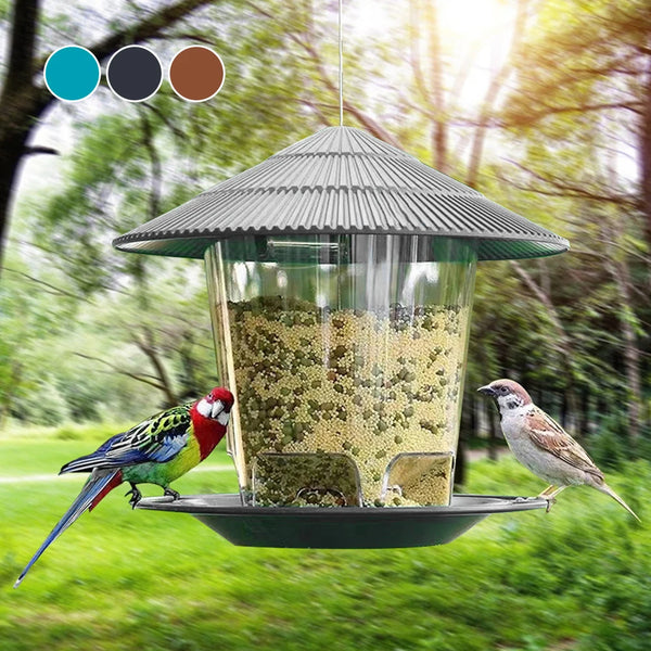 Hanging Outdoor Bird Seed and Peanut Feeder