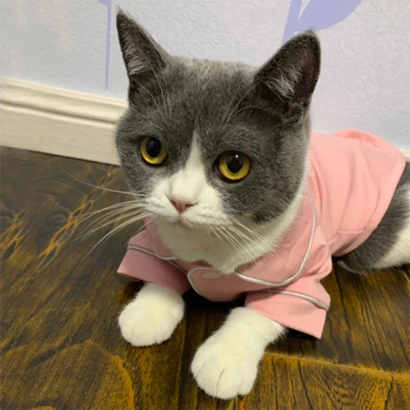 Christmas Cat Hoodie Suit - Winter Sphynx Sweatshirt