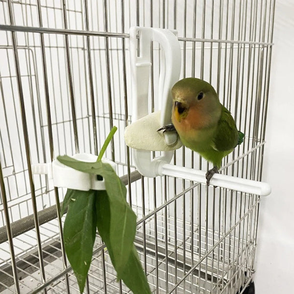 Plastic Bird Food Holder Clip for Fruit and Cuttlefish Bone