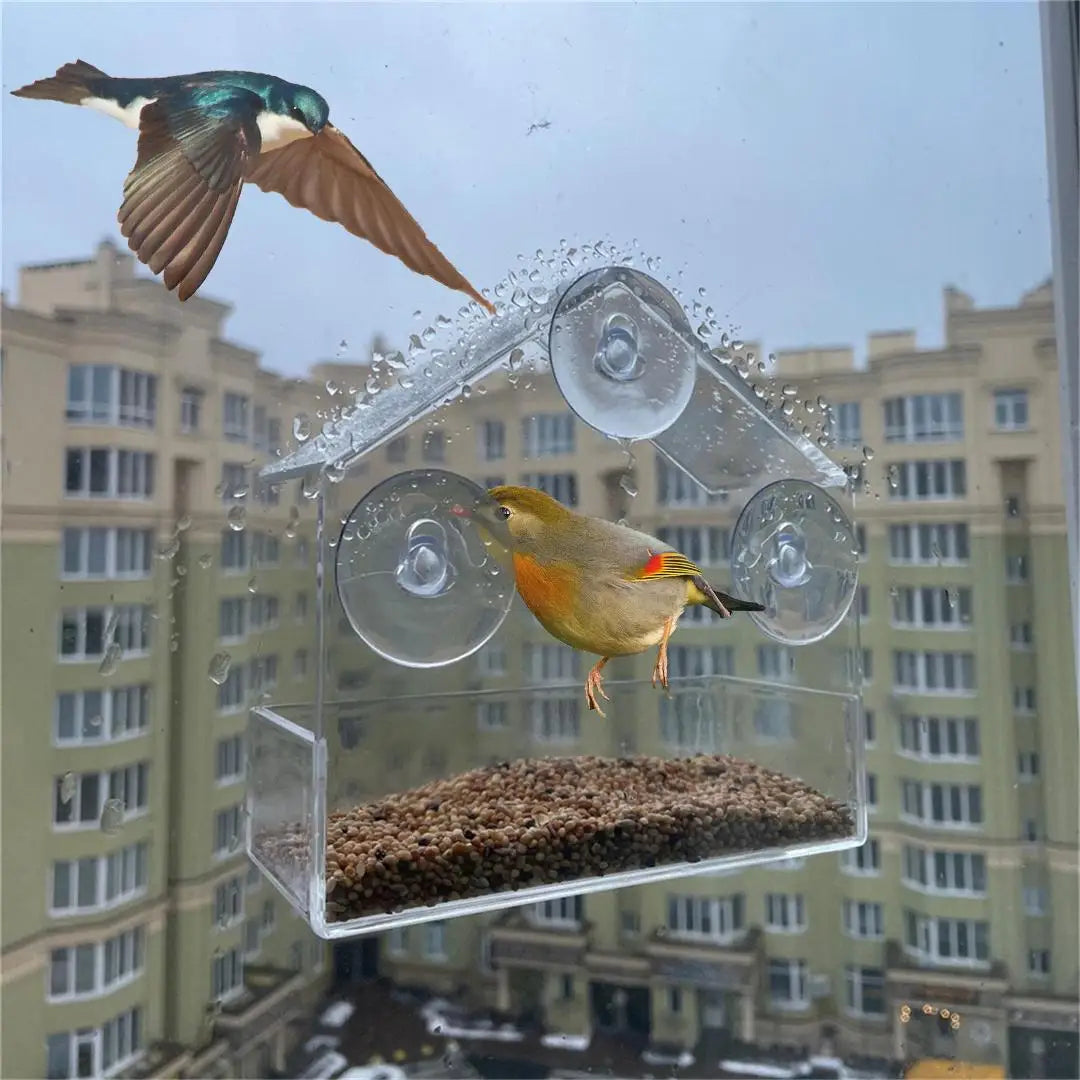 Clear Acrylic Window Bird Feeder with Suction Cups