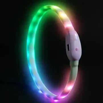 USB Rechargeable LED Dog Collar with 9 Flashing Modes