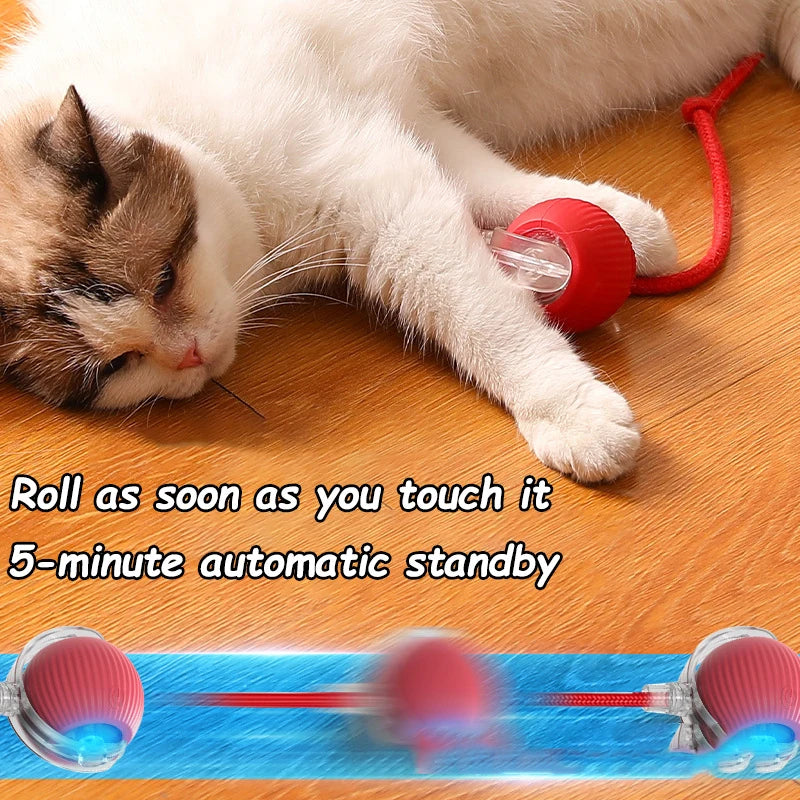 Rechargeable Rolling Cat Ball Toy with Faux Tail